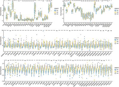 Immune Classification and Immune Landscape Analysis of Triple-Negative Breast Cancer